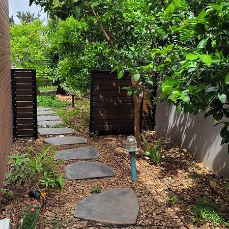 נקודות ריפוי Apartment Tirat Carmel Exterior photo