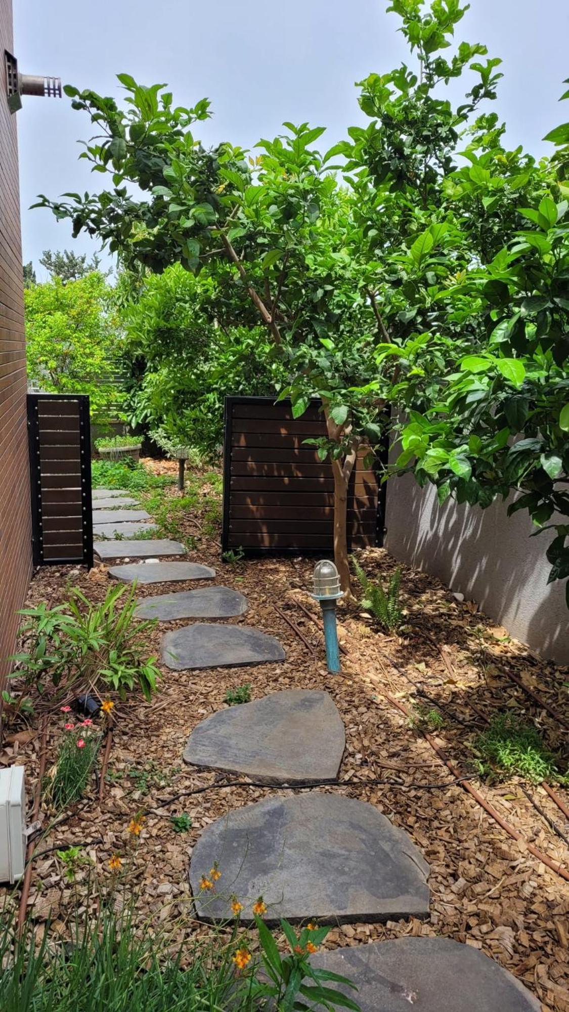 נקודות ריפוי Apartment Tirat Carmel Exterior photo